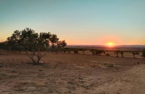 Casa rural Cerro Campón - Foto 77