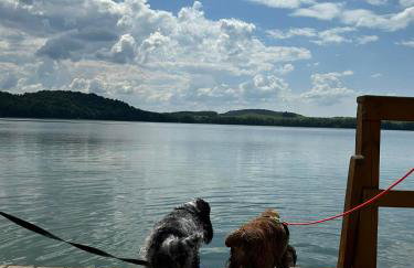 Świerkowe Ranczo Raciszewo - Foto 35