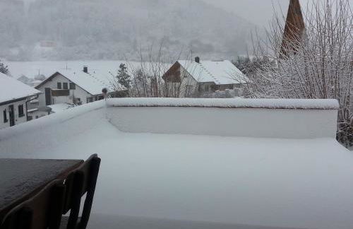 Mayntz' Albjuwel - Foto 11