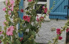 La maison du pecheur Spa - Photo 37