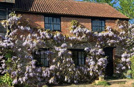 The Grannary - Photo 1