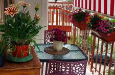 VALERIA'S HOUSE - Foto 12