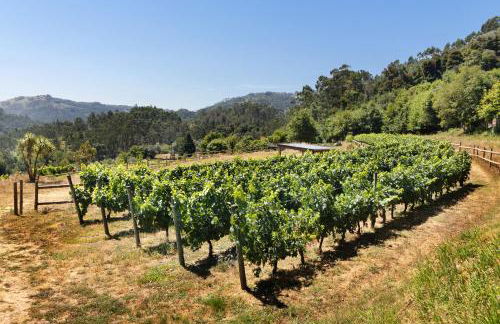 Quinta Santa Marinha - Foto 8