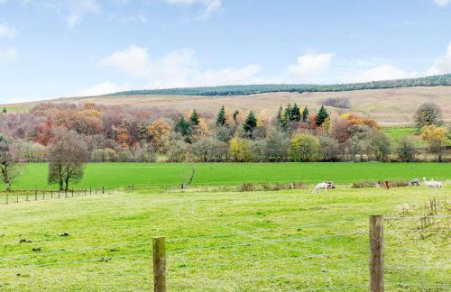 Merry Burn Barn - Uk3325 - Foto 20