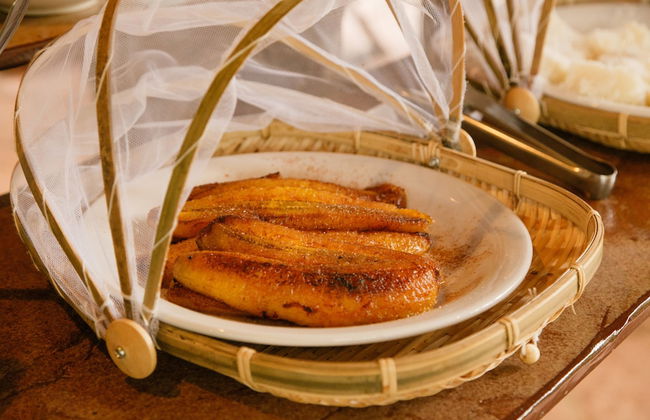 Pousada Canto no Bosque - Foto 57