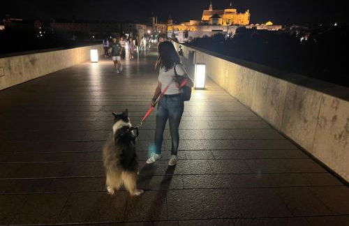 Irache Dreams - Foto 22