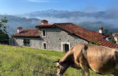 Apartamentos Picabel - Foto 23