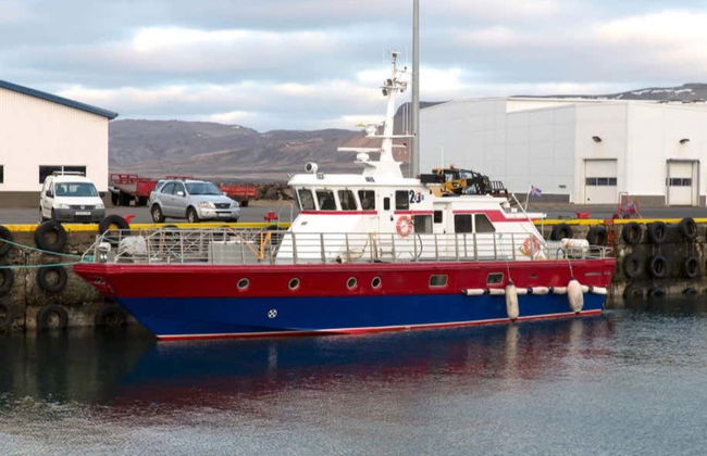 Ólafsvík Whale Watching - Photo 1