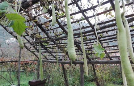 Agriturismo Mare e Monti - Foto 96