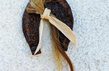 Hacienda Natura Agroturystyka - Photo 26