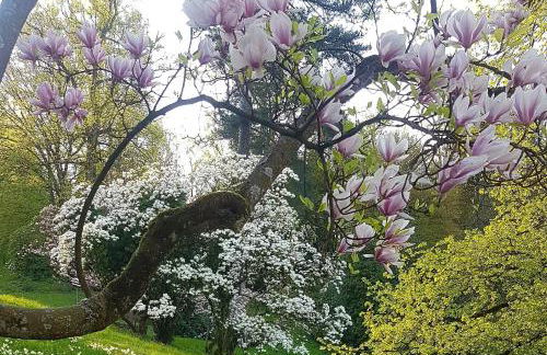 Family Suites & Parking - Foto 48