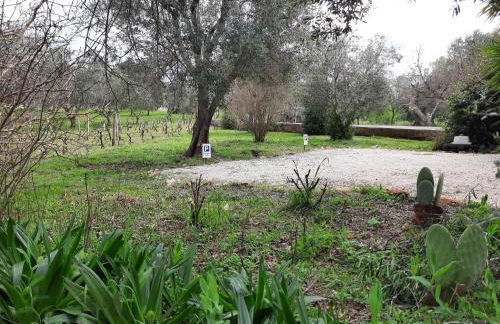 Casa Trullo Bianco: Casa Vicino - Foto 37