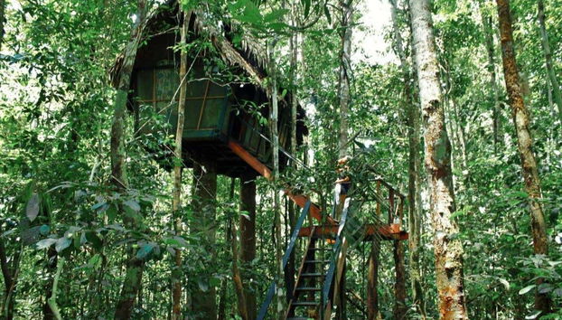 Esplorando la Riserva Naturale Tanimboca