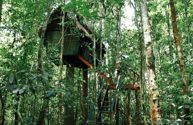 Tour di avventura nella Riserva Naturale Tanimboca - Foto 4