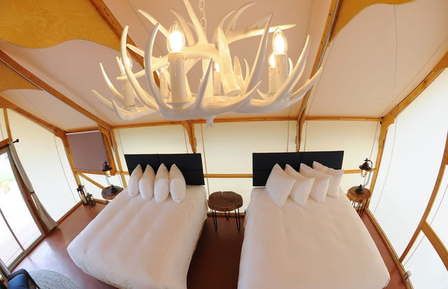 Royal Gorge Cabins - Photo 4