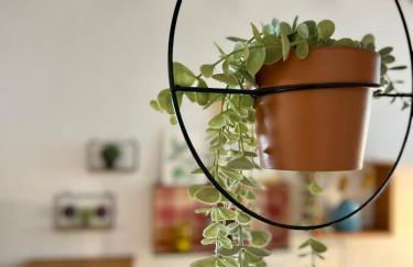 Ca La Abuela - Foto 10