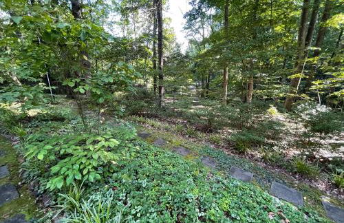 Mary's Place - Studio surrounded by nature but close to High Point - Photo 10