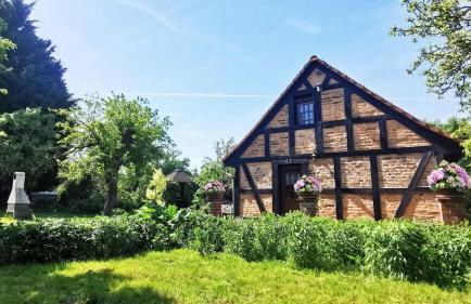 Spreewälder Schwalbenhof - Ferienhaus "Schwalbennest" - Foto 22