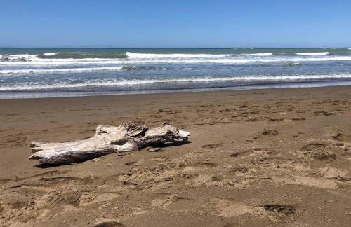 Elisa San Vincenzo Apartment - Foto 43