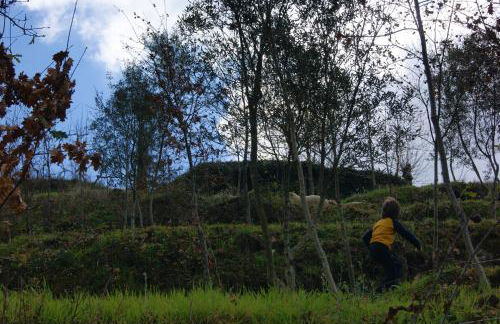 Charming House in Celorico de Basto with Mountain View - Foto 17