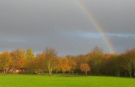 Countryside Cabin on 5 Acres Countryside with Outdoor Firepit, Cinema and converted Stables - Foto 46