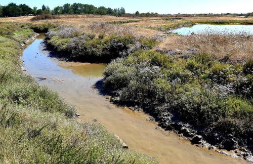 La Fleur des Marais - Maison tout confort au calme, grand jardin & balançoire - Foto 33