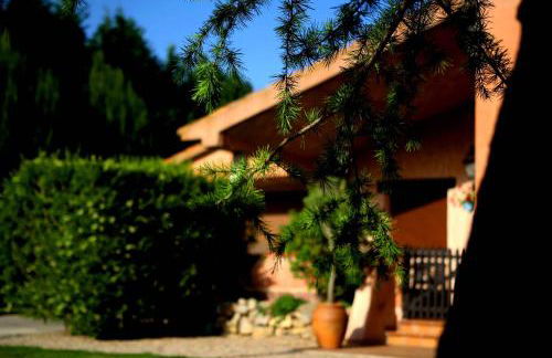 Casa rural El Pitañar - Foto 16