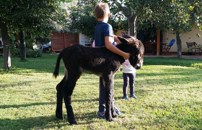 Casale Della Pergola With Cottage Sugarcane Pool - Foto 36