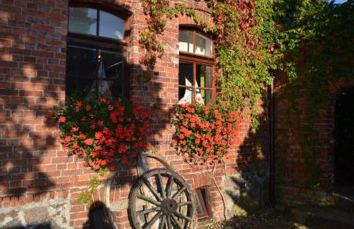 Avalon Połchowo - Foto 10