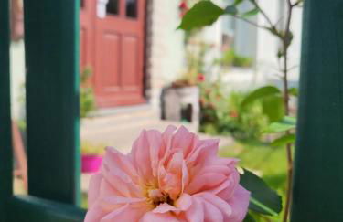 Ferienwohnung Simmert - Foto 1