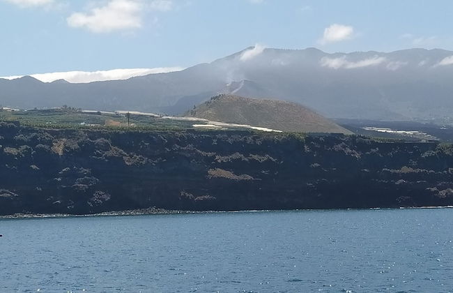 Trébol "trail Mountain La Palma" Vistas Al Mar - Foto 28