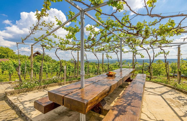 Vineyard Homestead Vrtin - Foto 38