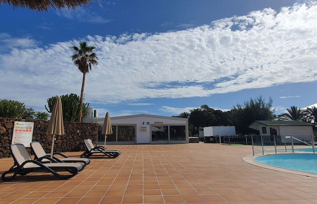 Palmeras Garden - Foto 1