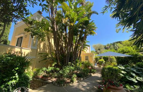 Villa Aurora Caprese - Foto 10