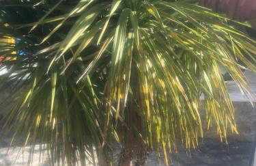 Feriendomizil Moll - Photo 19