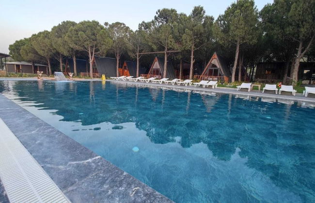 Welllife Hotels & Restaurant - Photo 10