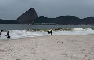 Formidável Studio no coração do Rio - Foto 8