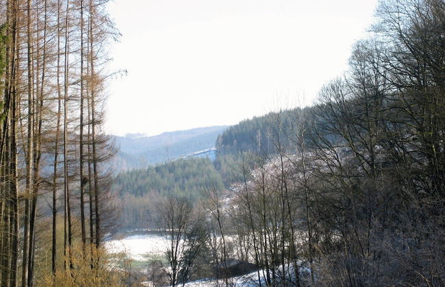 Le Baron Apartments - Photo 47