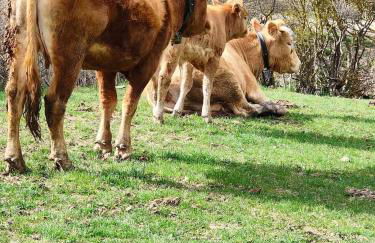 La Dimora in Pietra - Foto 40