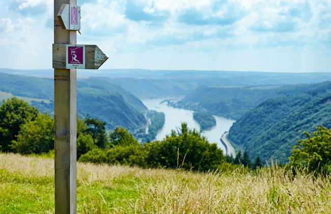 PARK VILLA zentral am Mittelrhein - Foto 75