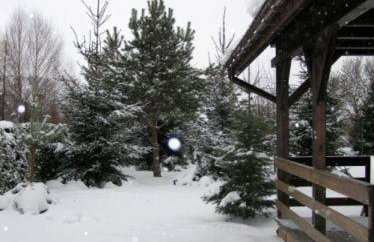 Dom nad jeziorem - Mazury - Foto 9