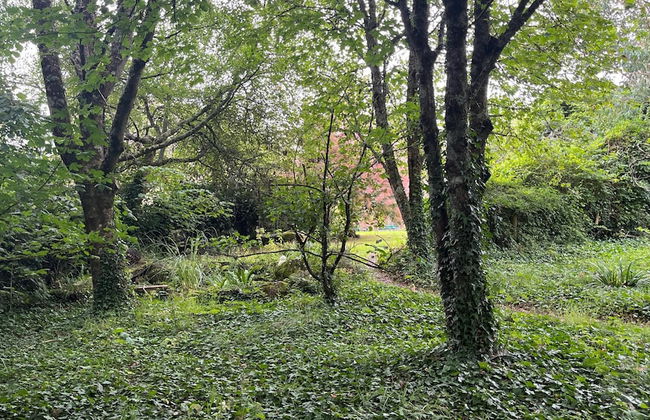 Retro Lodge nr Dartoor With hot tub & opt Sauna - Foto 41