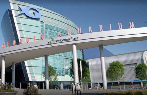 Entire Apartment Suite family singles Couples Nurses dinners business meetings - Foto 51