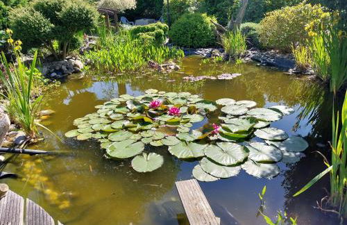 Rollstuhlgerechte 80m² grosse Ferienwohnung in Ostfriesland - Photo 33