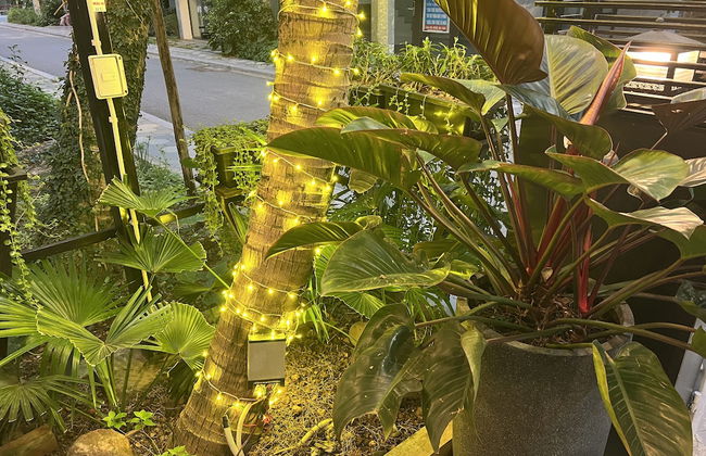 HALO ME Villa - Photo 43