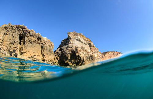 Nazare with Garden and Barbecue - Photo 44