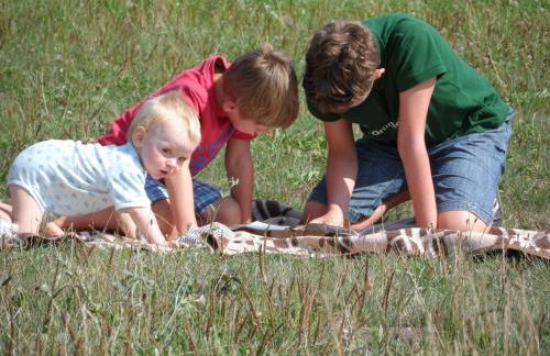 Romantische Ferien auf dem nachhaltig ökologisch sanierten Bauernhof - Foto 14
