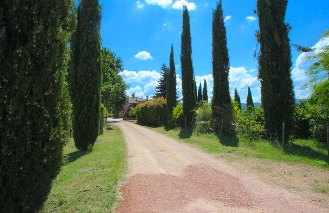 Elysian Escape - A Paradise - Foto 46