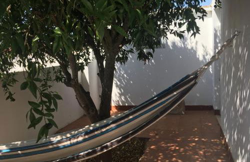 Casa do Avô Zé - Foto 14