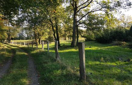 FeWo Grafschaft - Foto 29